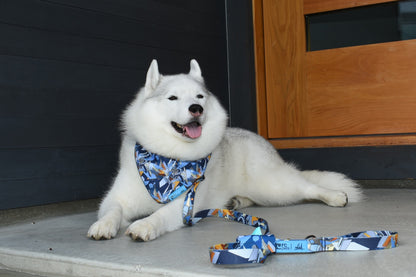 RC Artist Series Leash