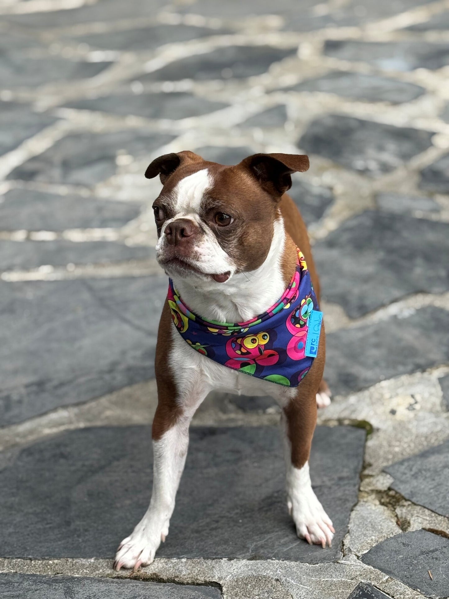 RC Artist Series Bandana