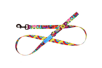 RC Artist Series Leash