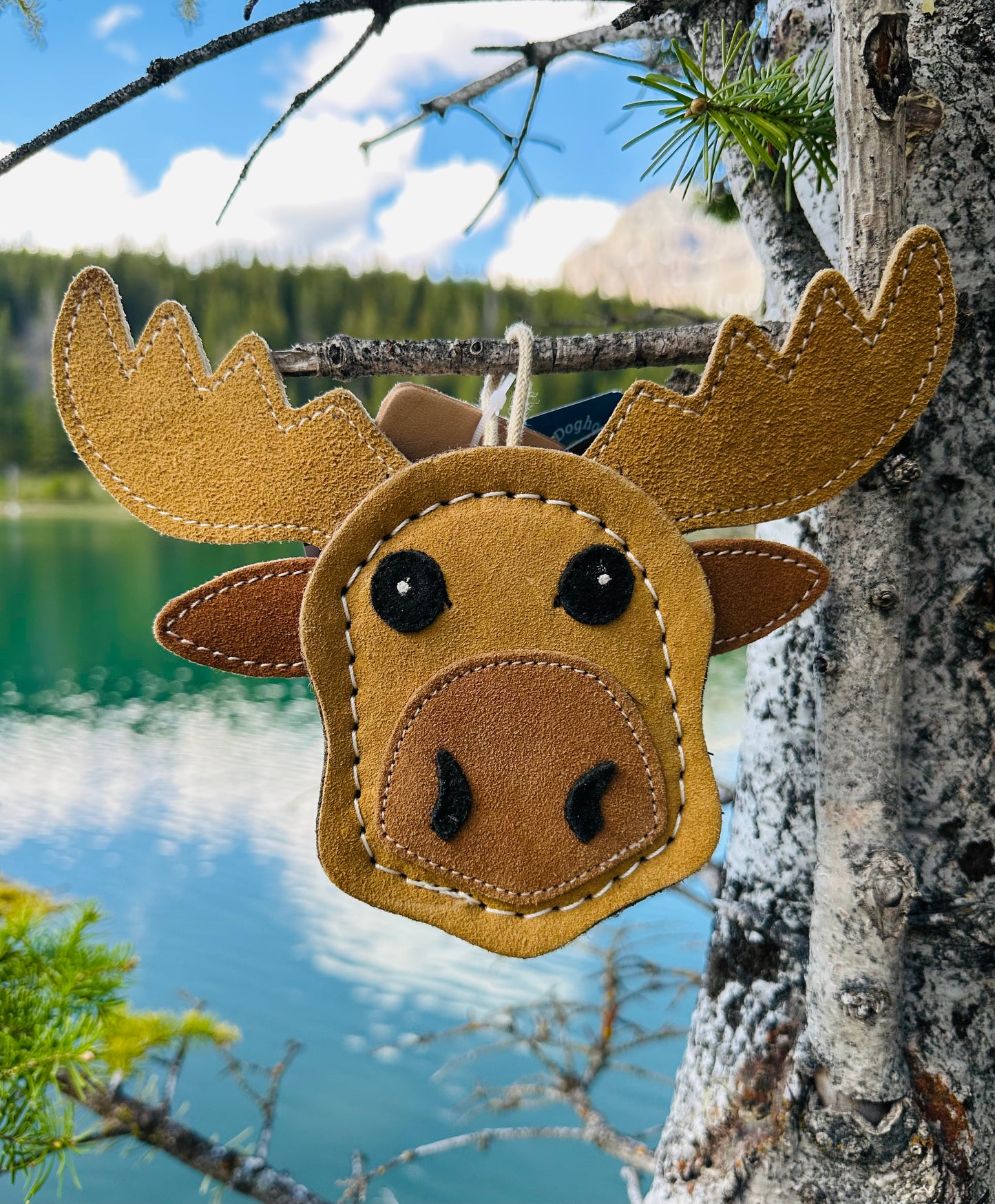 The Doghouse Leather & Wool Moose