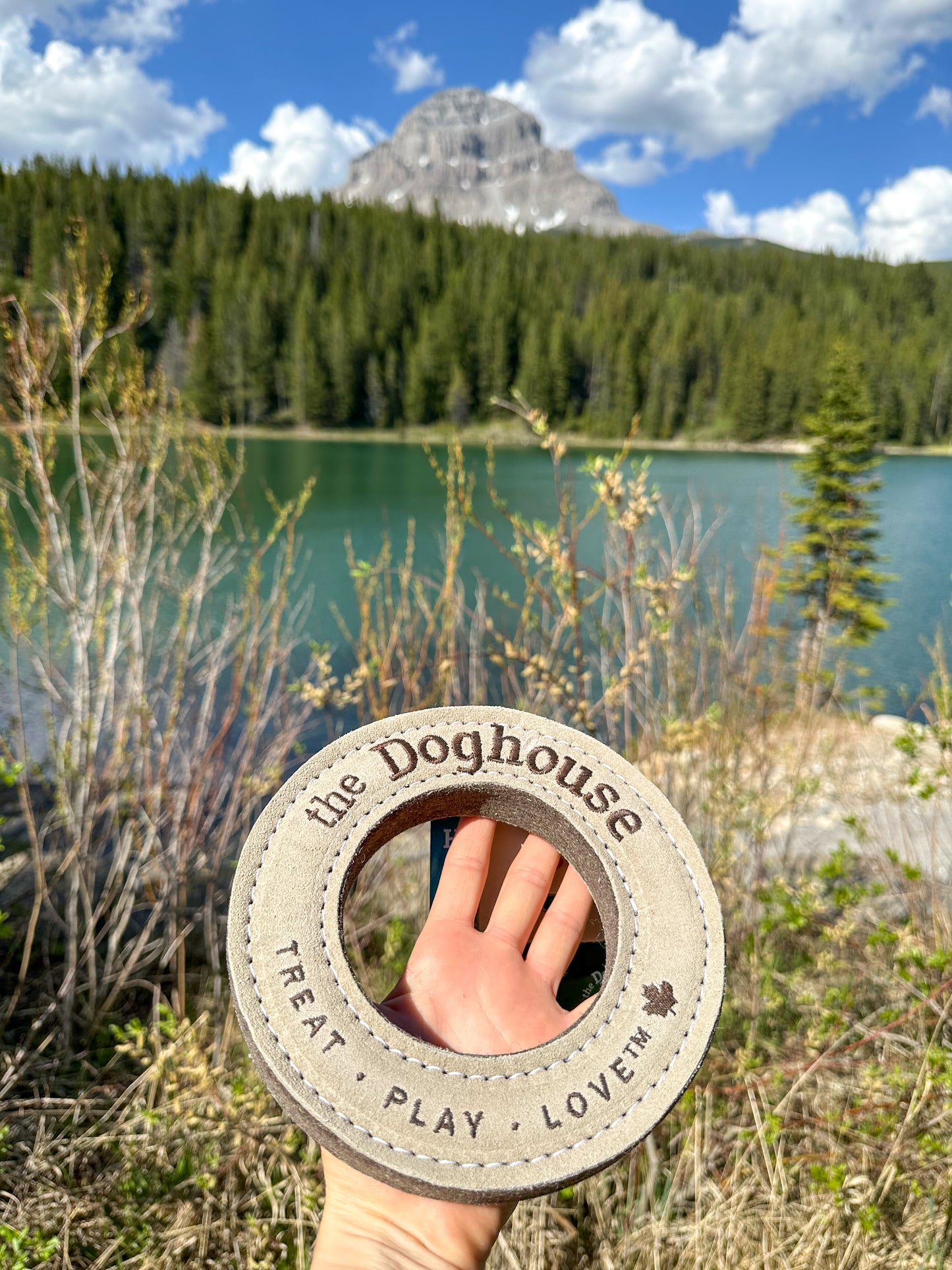 The Doghouse Leather & Wool Ring