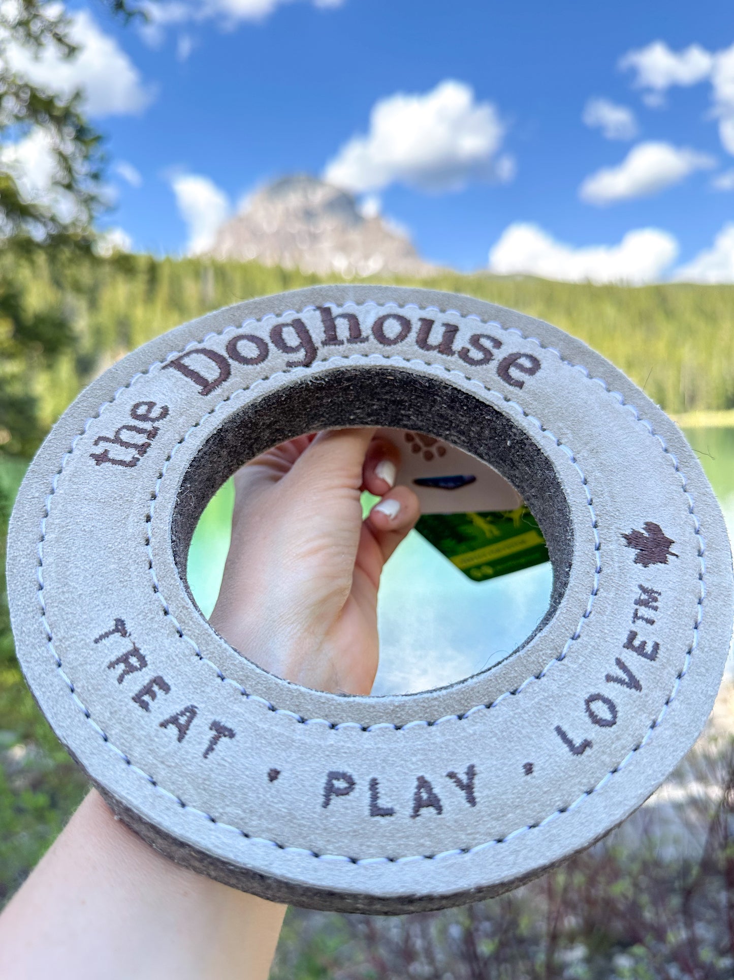 The Doghouse Leather & Wool Ring