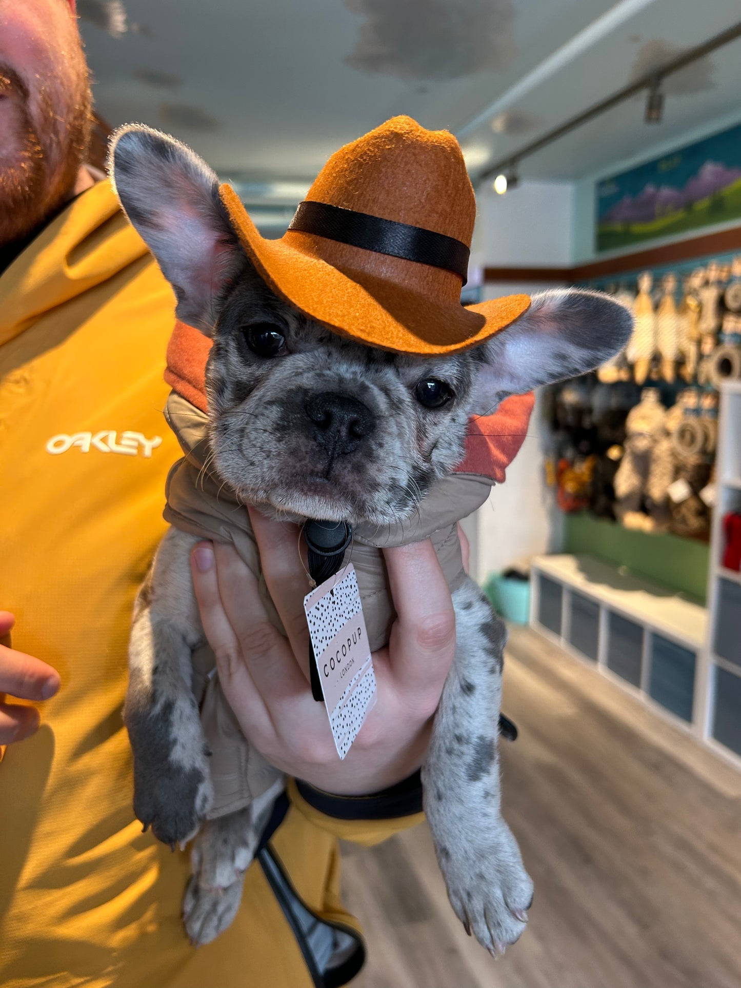 Cocopup Rodeo Dog hat