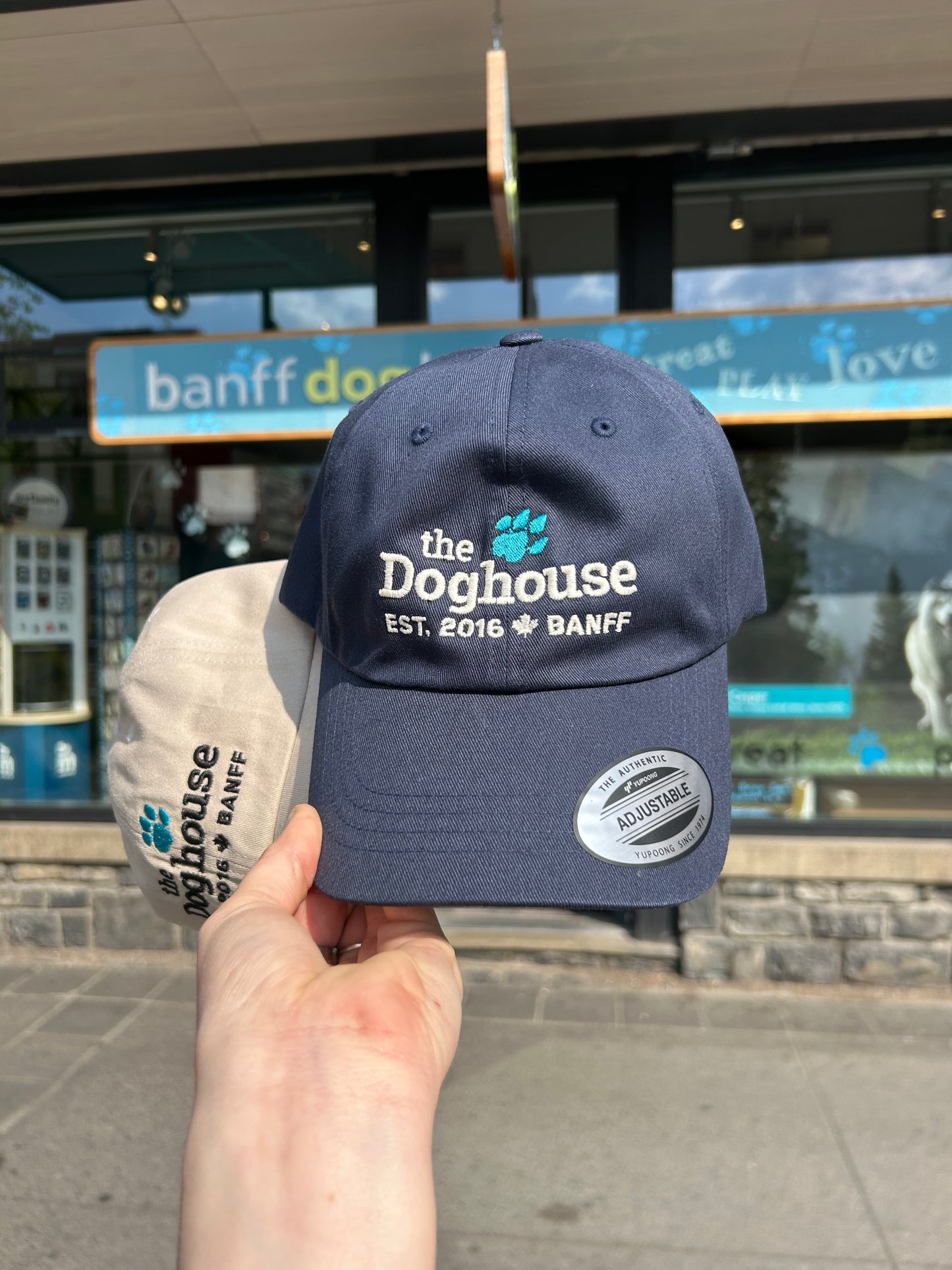 The Doghouse Trucker Cap