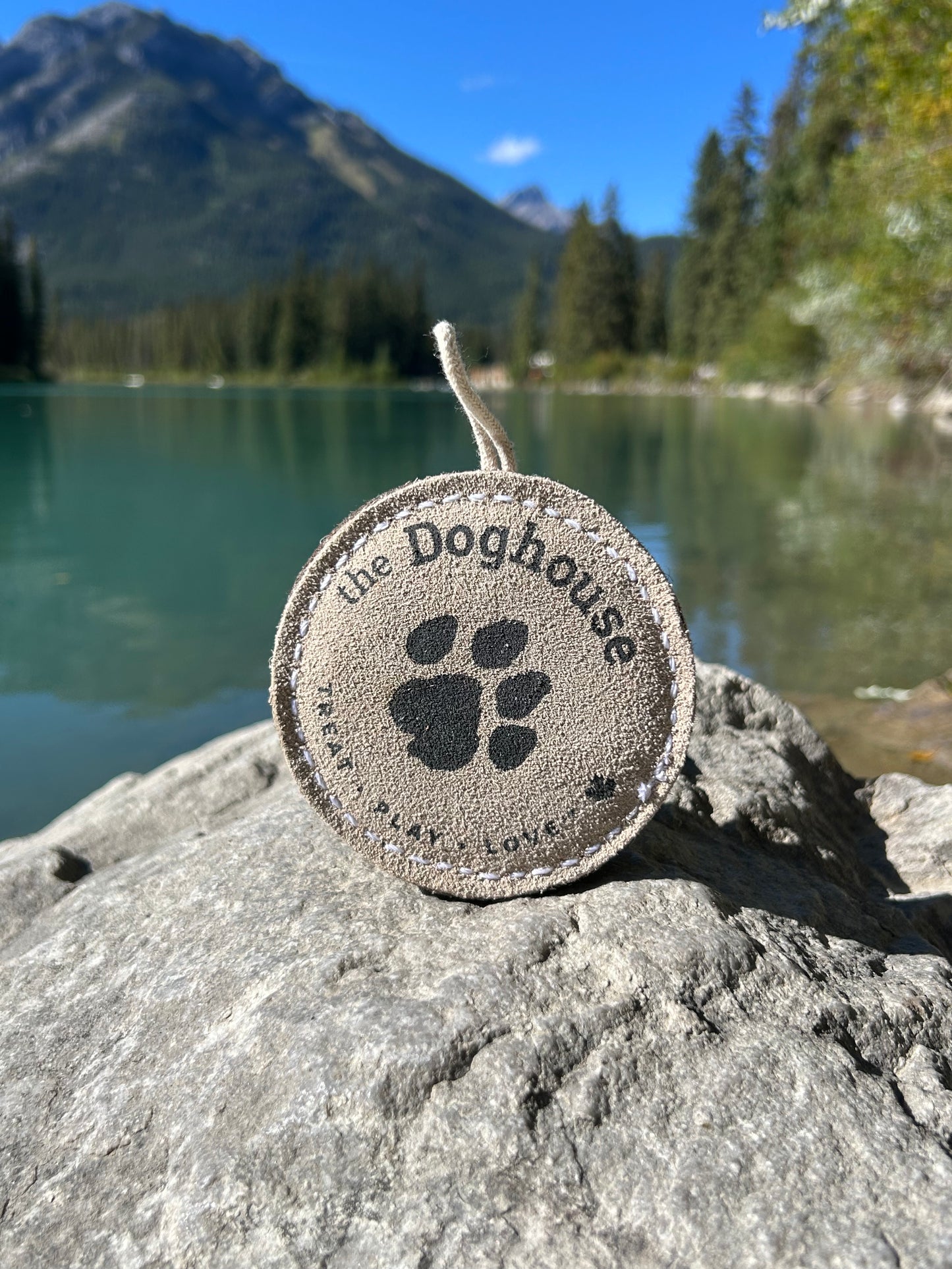 The Doghouse Leather & Wool Puck