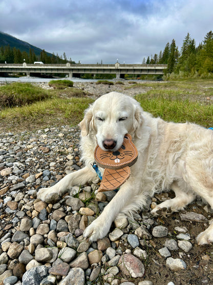 The Doghouse Leather & Wool Beaver