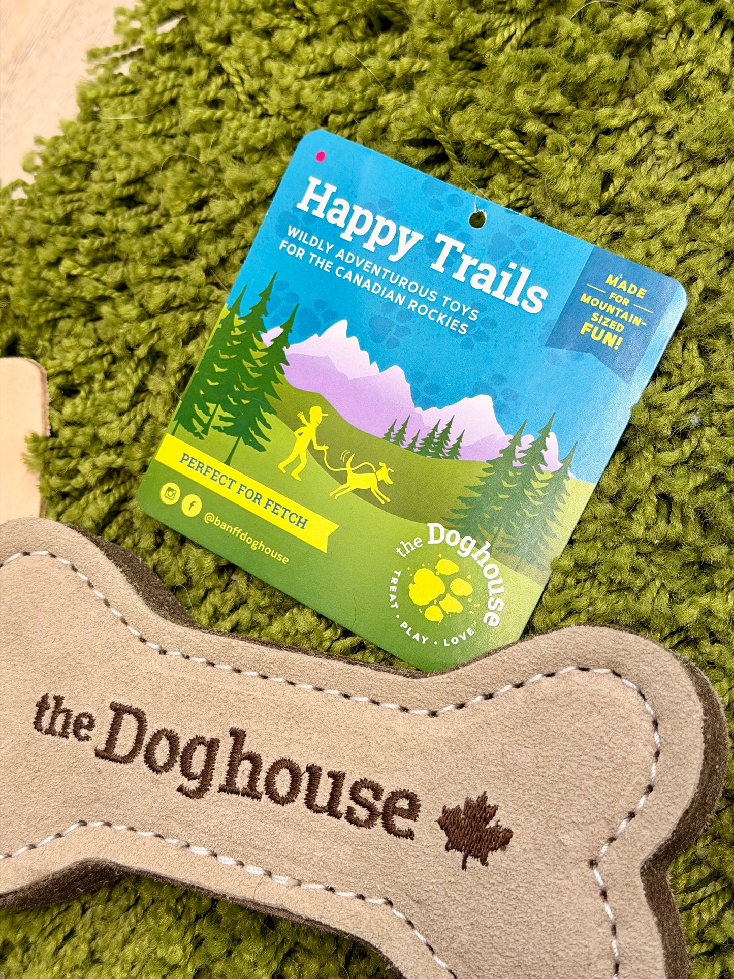 The Doghouse Leather & Wool Bone