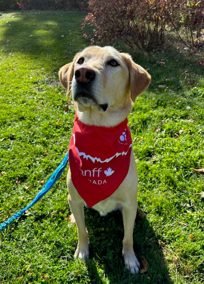 Banff Canada Bandana