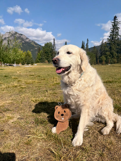 The Doghouse Leather & Wool Beaver