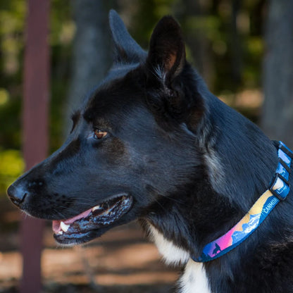 Canmore Alpine Dog Collar