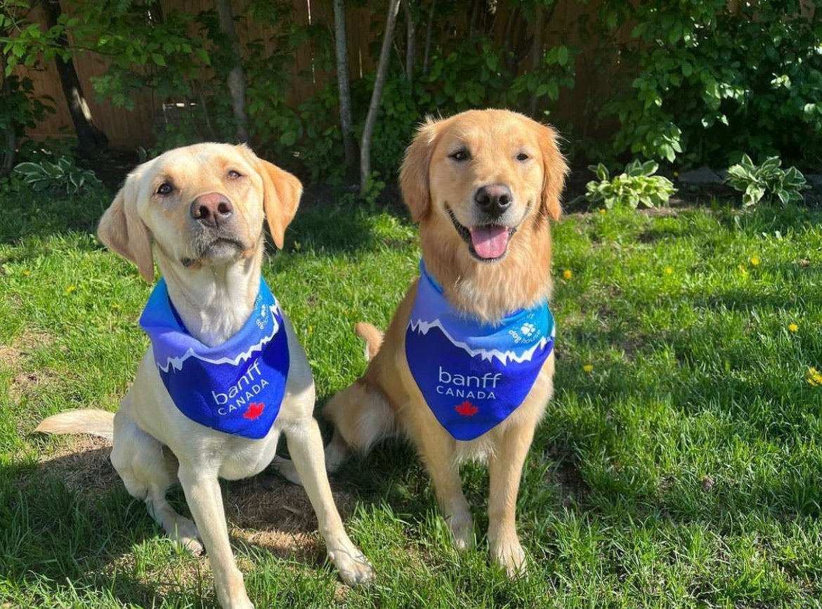 Banff Canada Bandana