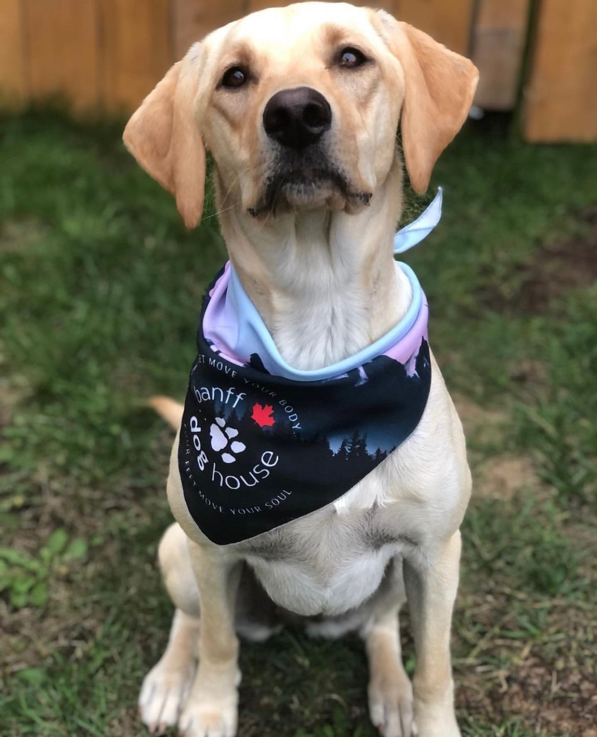 Two Feet Custom Bandana - Blue Mountain