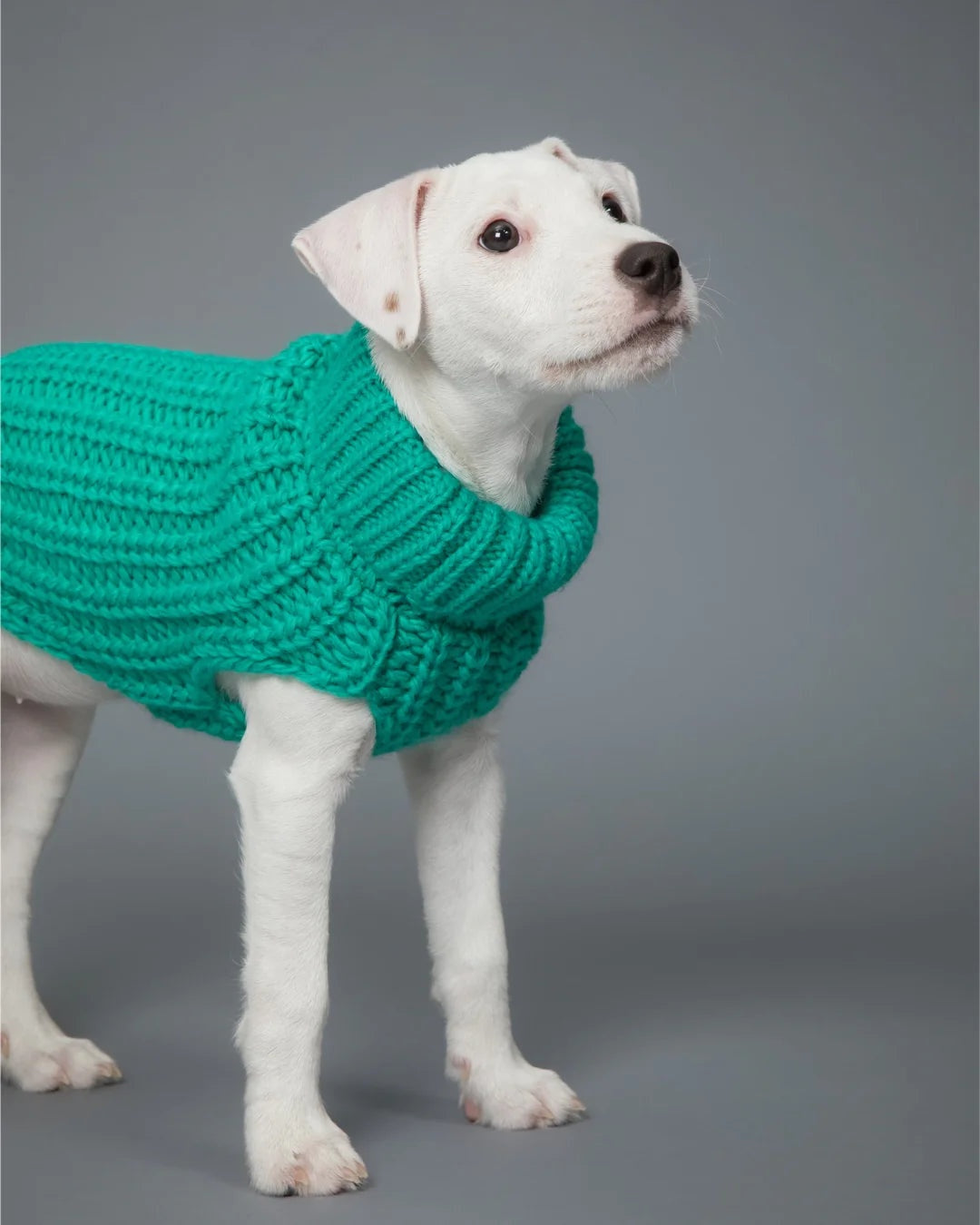 Paikka Handmade Knit Sweater Green