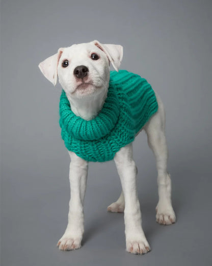 Paikka Handmade Knit Sweater Green