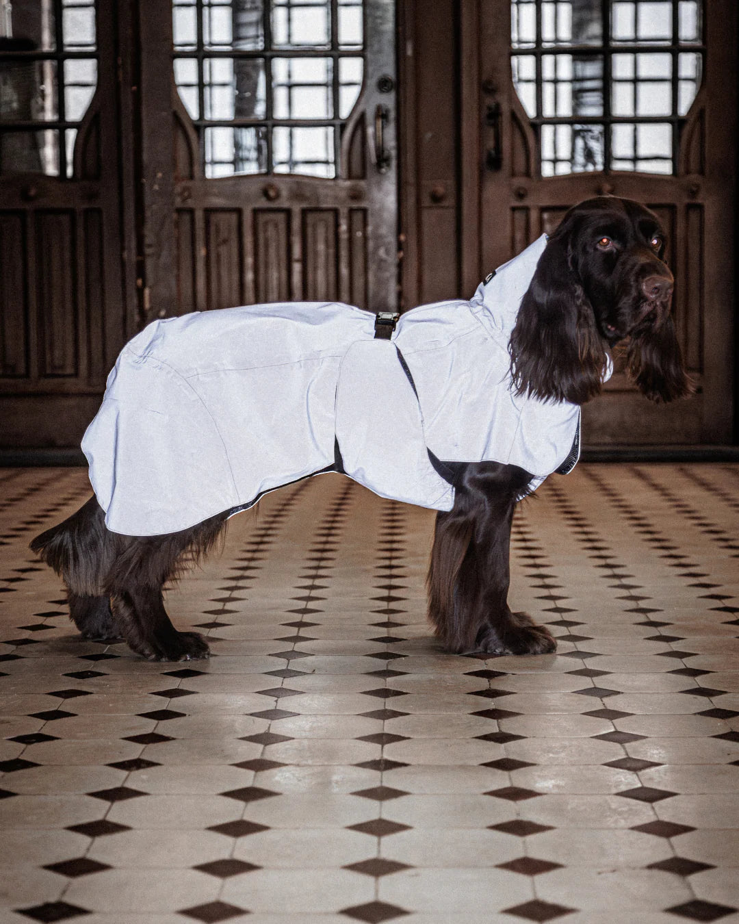 Paikka Visibility Raincoat Taupe