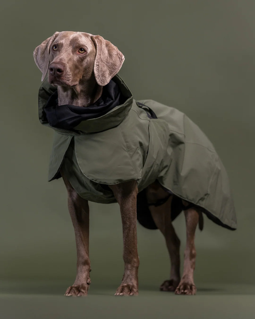 Paikka Visibility Winter Jacket Wool Green