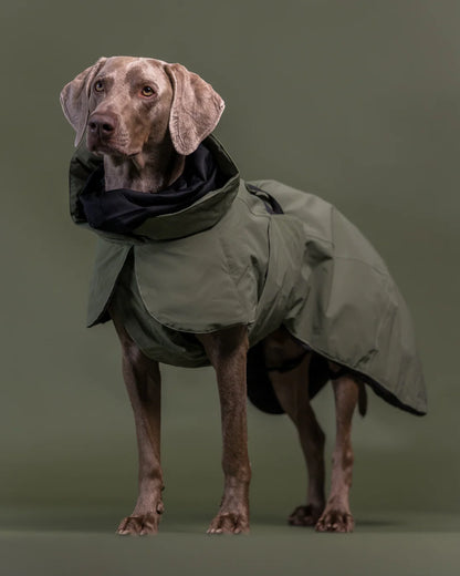 Paikka Visibility Winter Jacket Wool Green