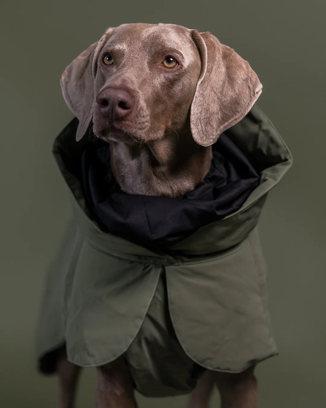 Paikka Visibility Winter Jacket Wool Green