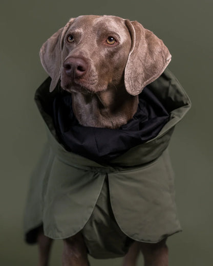 Paikka Visibility Winter Jacket Wool Green