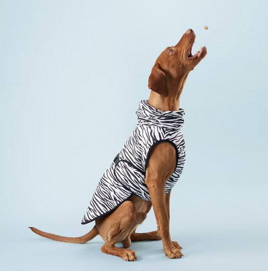 Paikka Cool & Bug Vest