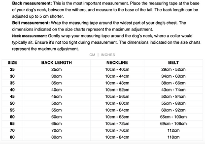 Paikka Winter Suit Blue