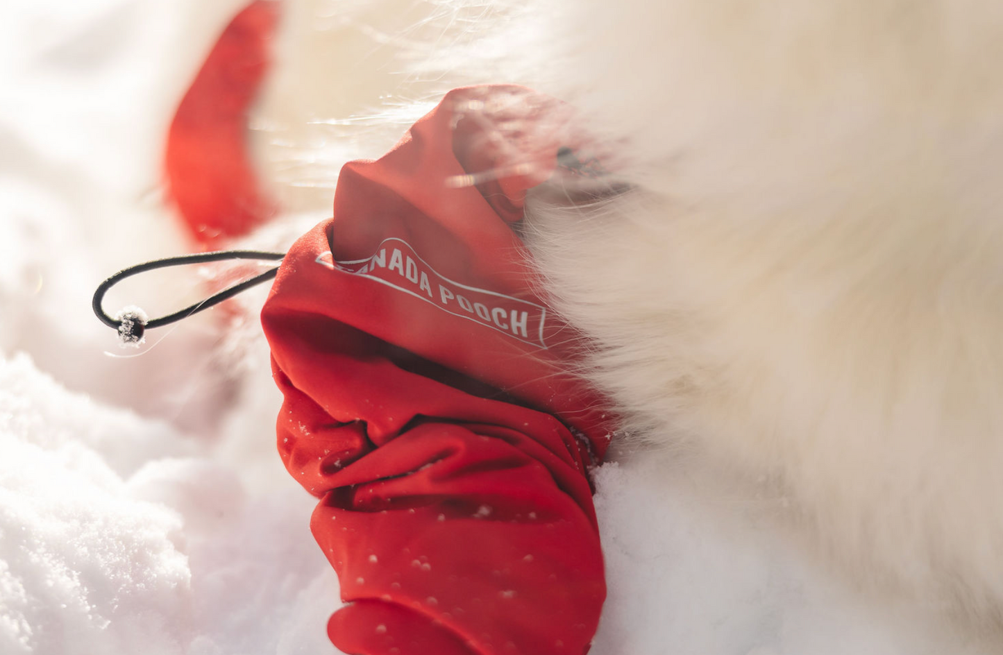 Canada Pooch Suspender Boots Red 25% Off