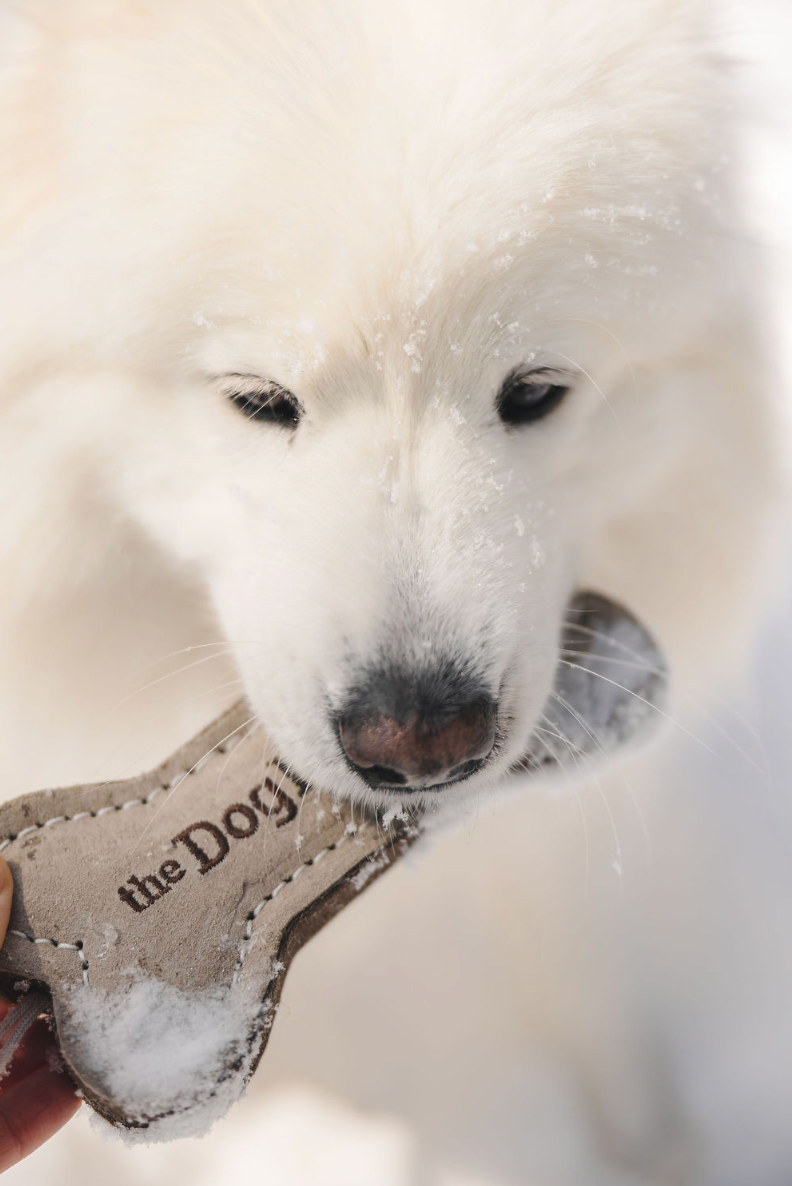 The Doghouse Leather & Wool Bone