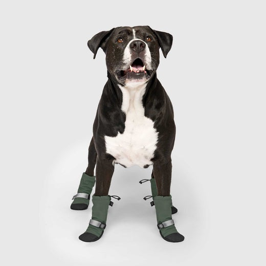 Canada Pooch Soft Shield Boots Green