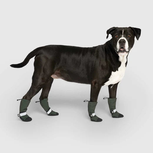 Canada Pooch Soft Shield Boots Green