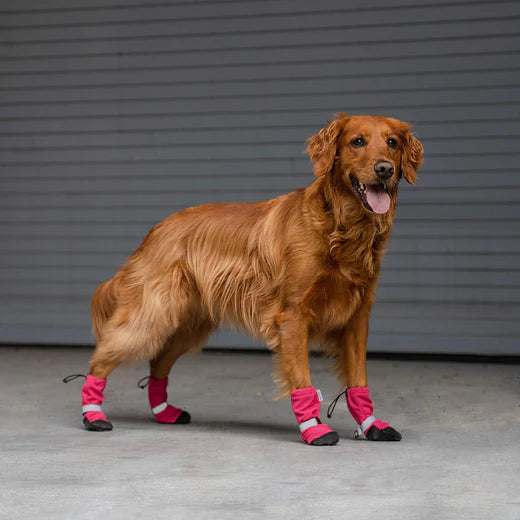 Canada Pooch Soft Shield Boots Pink