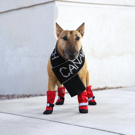 Canada Pooch Soft Shield Boots (Red)