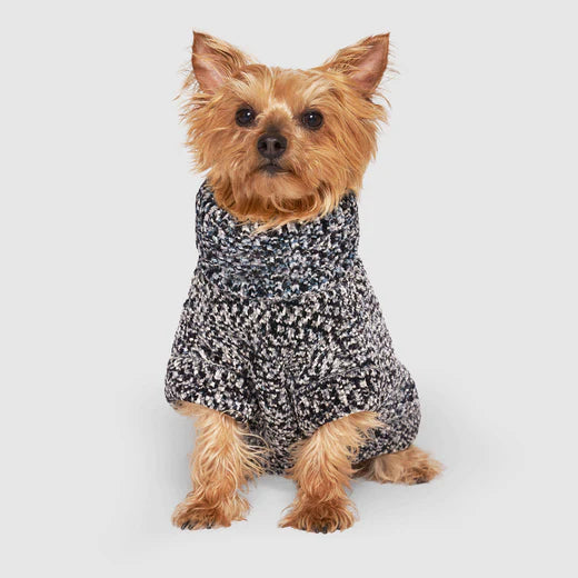 Canada Pooch Soho Sweater