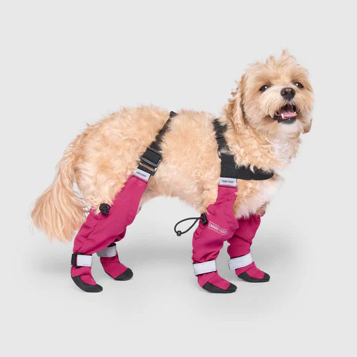 Canada Pooch Suspender Boots Pink 25% Off