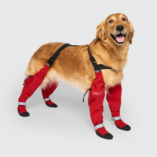 Canada Pooch Suspender Boots Red