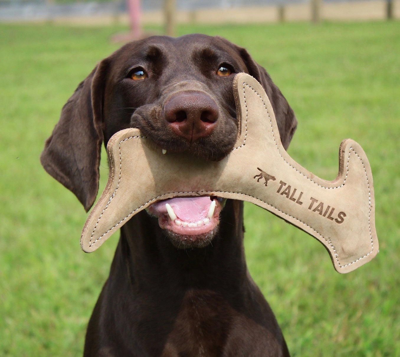 Natural Leather Antler (11 inch)