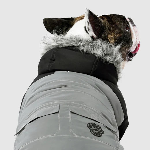 Canada Pooch True North Parka 25% Off