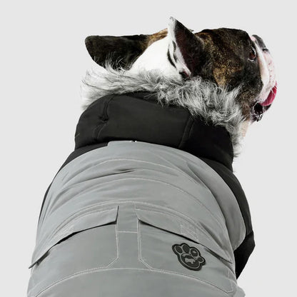 Canada Pooch True North Parka 25% Off
