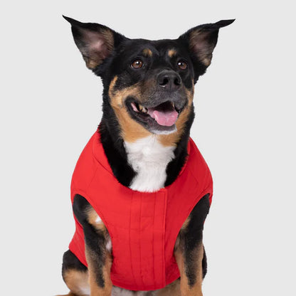 Canada Pooch Ultimate Stretch Vest Red