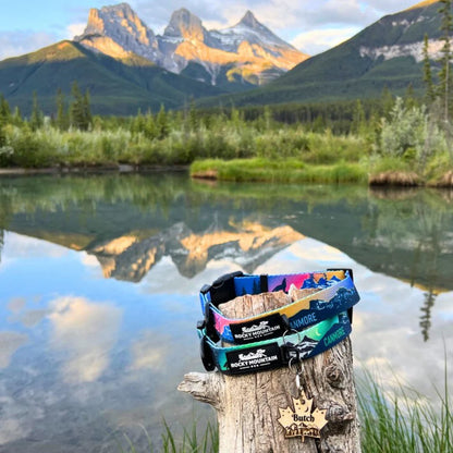 Canmore Alpine Dog Collar