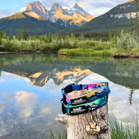 Canmore Alpine Dog Collar
