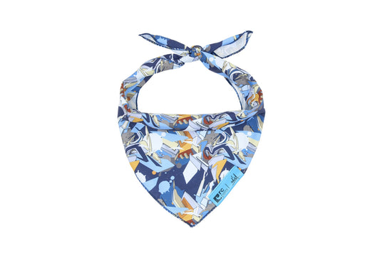RC Artist Series Bandana