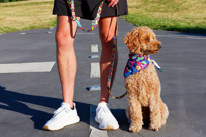 RC Artist Series Leash