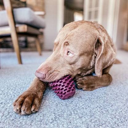 Pinecone Rubber Chew