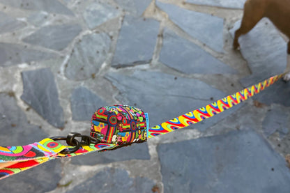 RC Artist Series P.U.P Bag