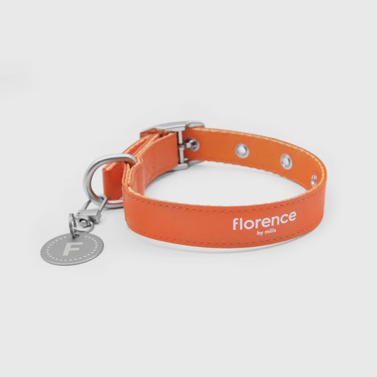 Florence Appleskin Dog Collar