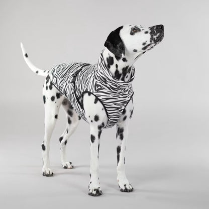 Paikka Cool & Bug Vest