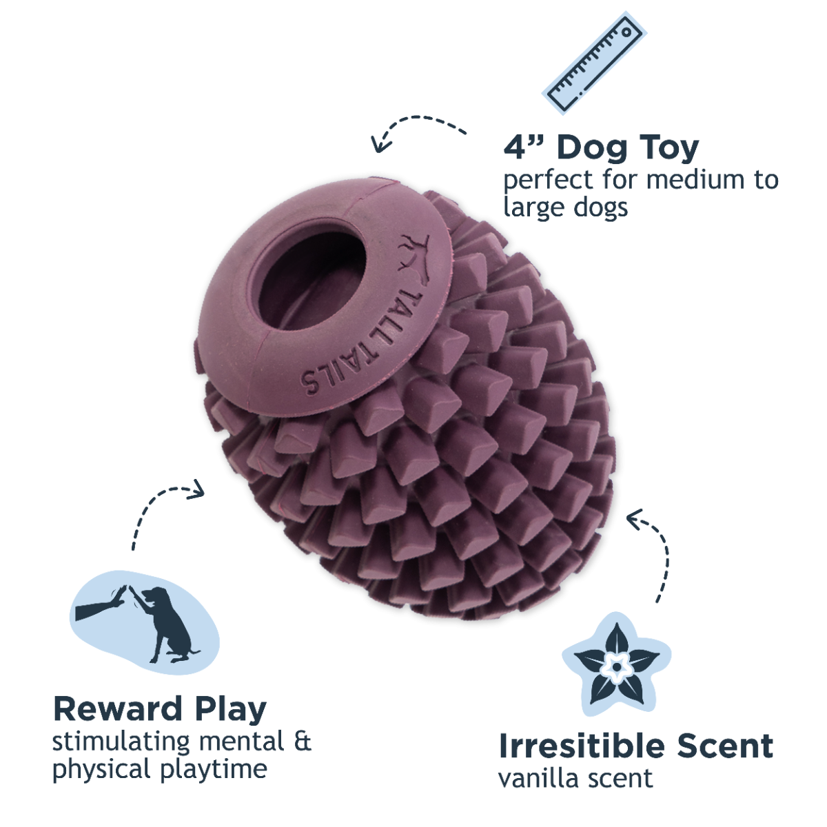 Pinecone Rubber Chew