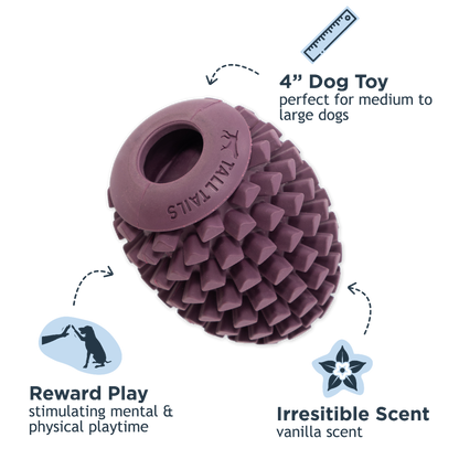 Pinecone Rubber Chew
