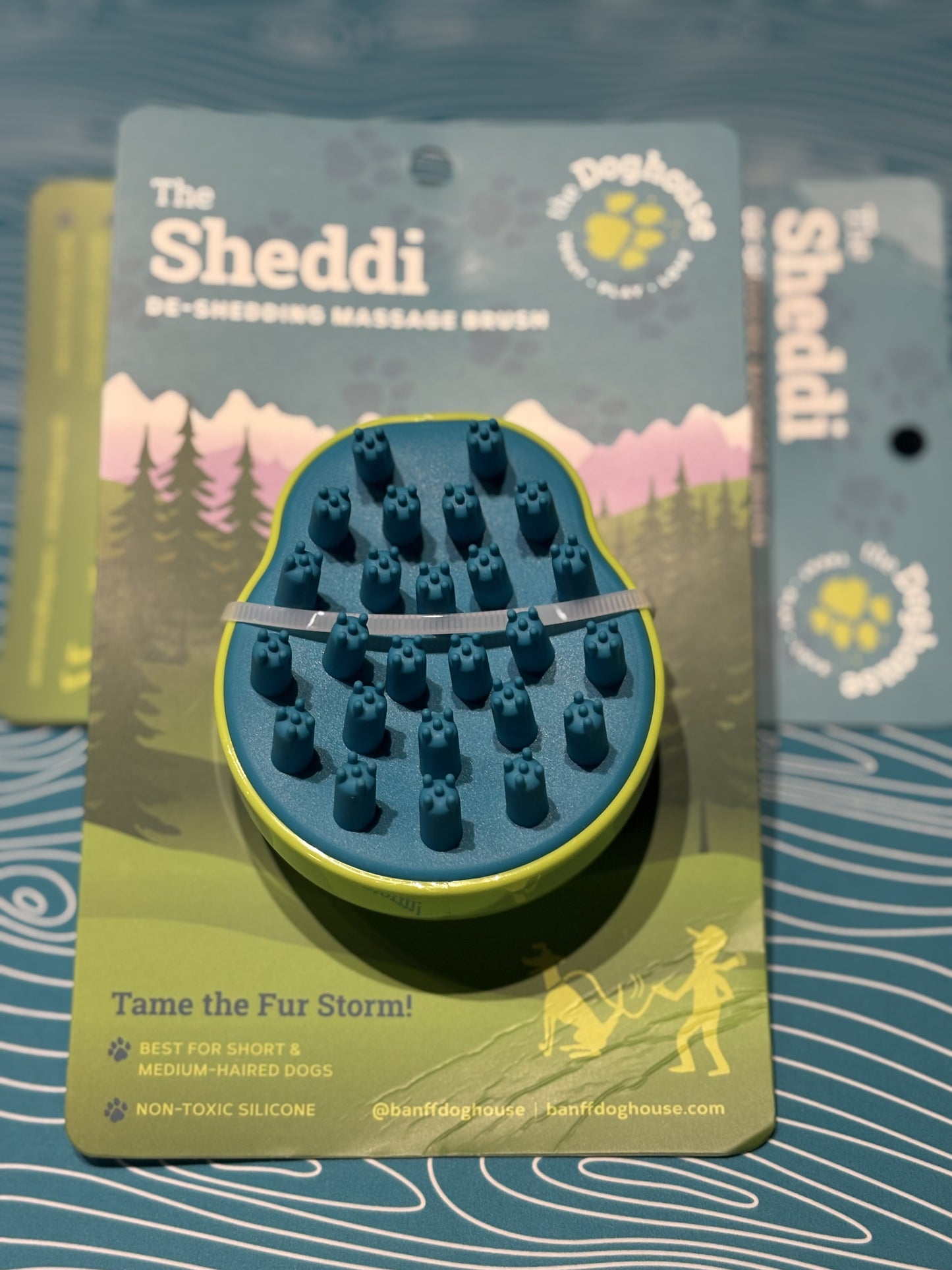 The Sheddi