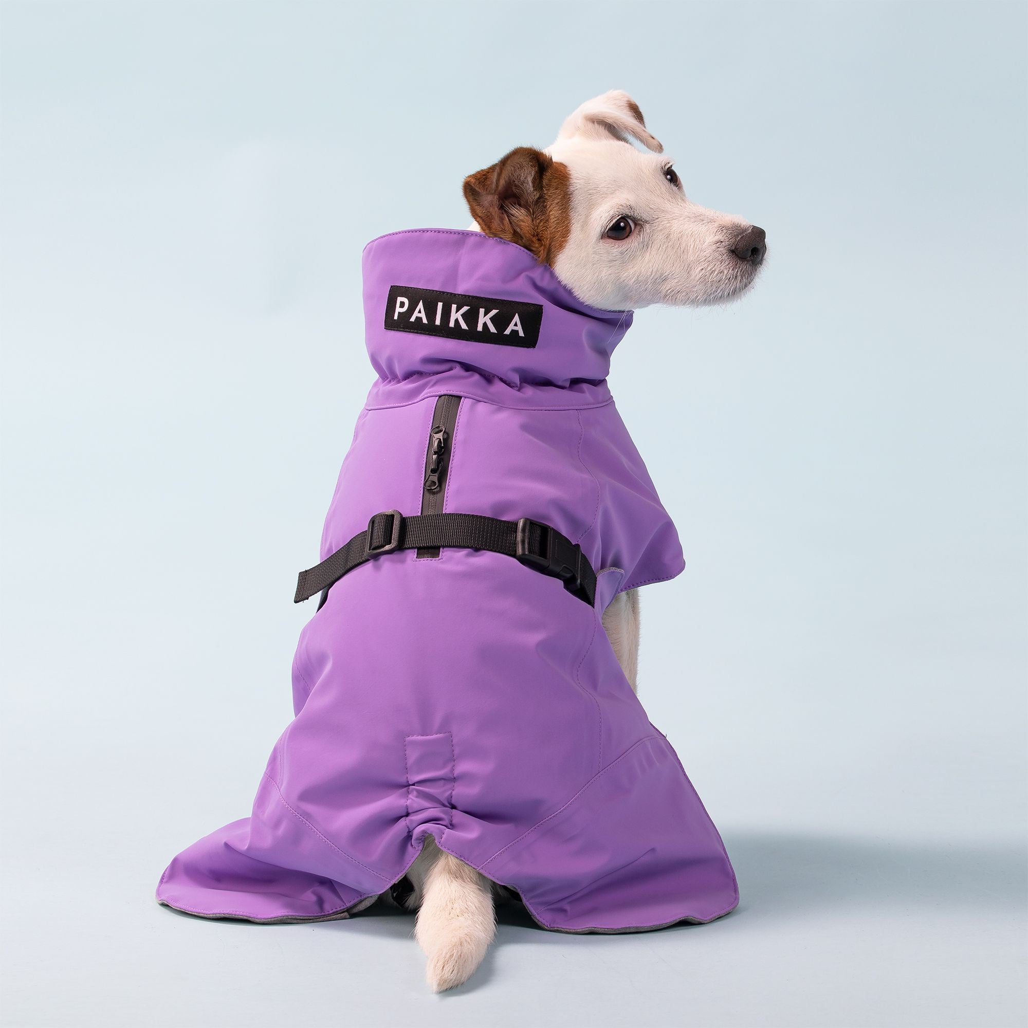 Visibility Winter Jacket Lilac for Dogs